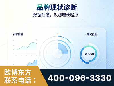 永济-品牌现状诊断
