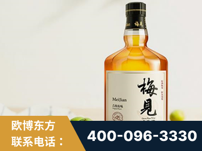 永济-梅见青梅酒